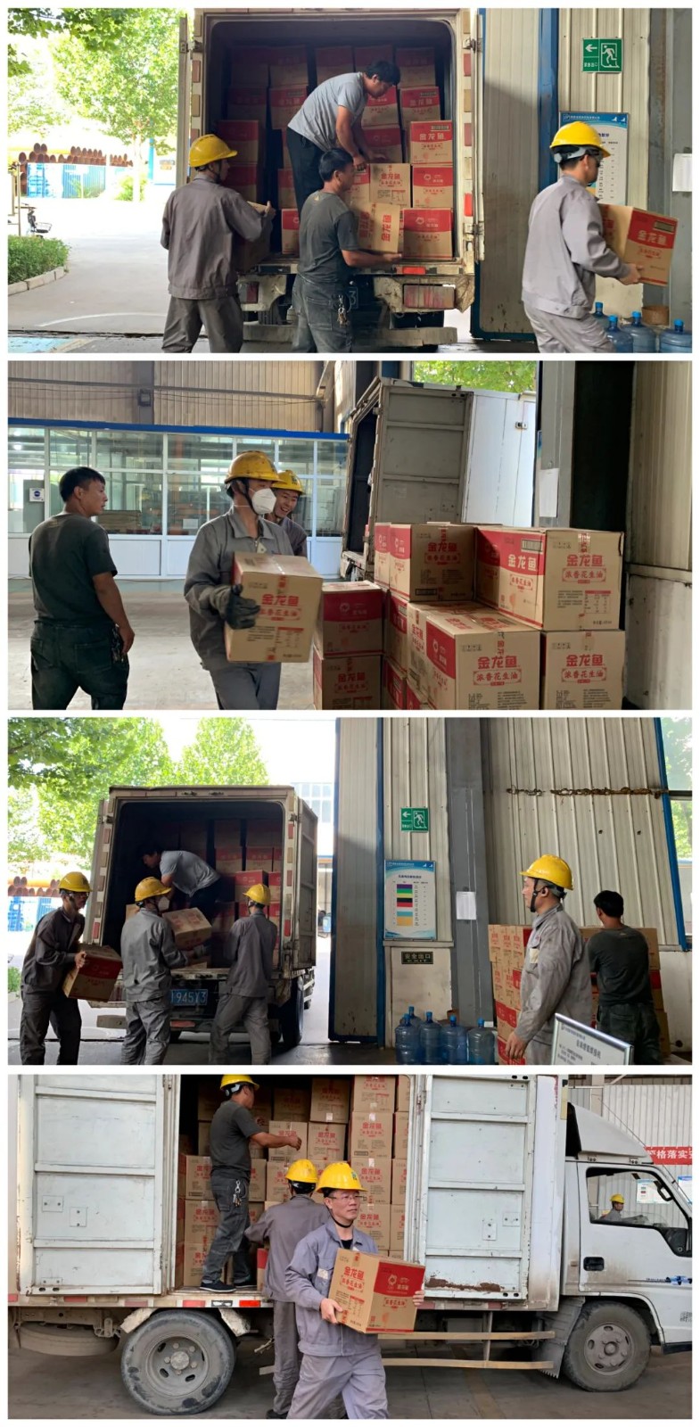 1662712618908082175.jpg 03.jpg